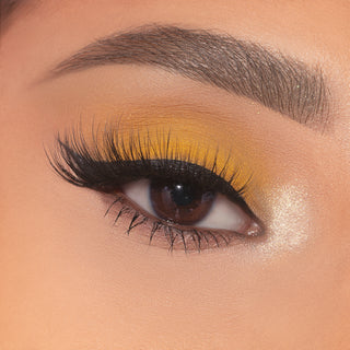 Spongebob X Beauty Creations - Paleta De Sombras - Bikini Bottom