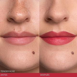 Kiss Me Liquid Gel Tint - Tint De Labios Set Completo